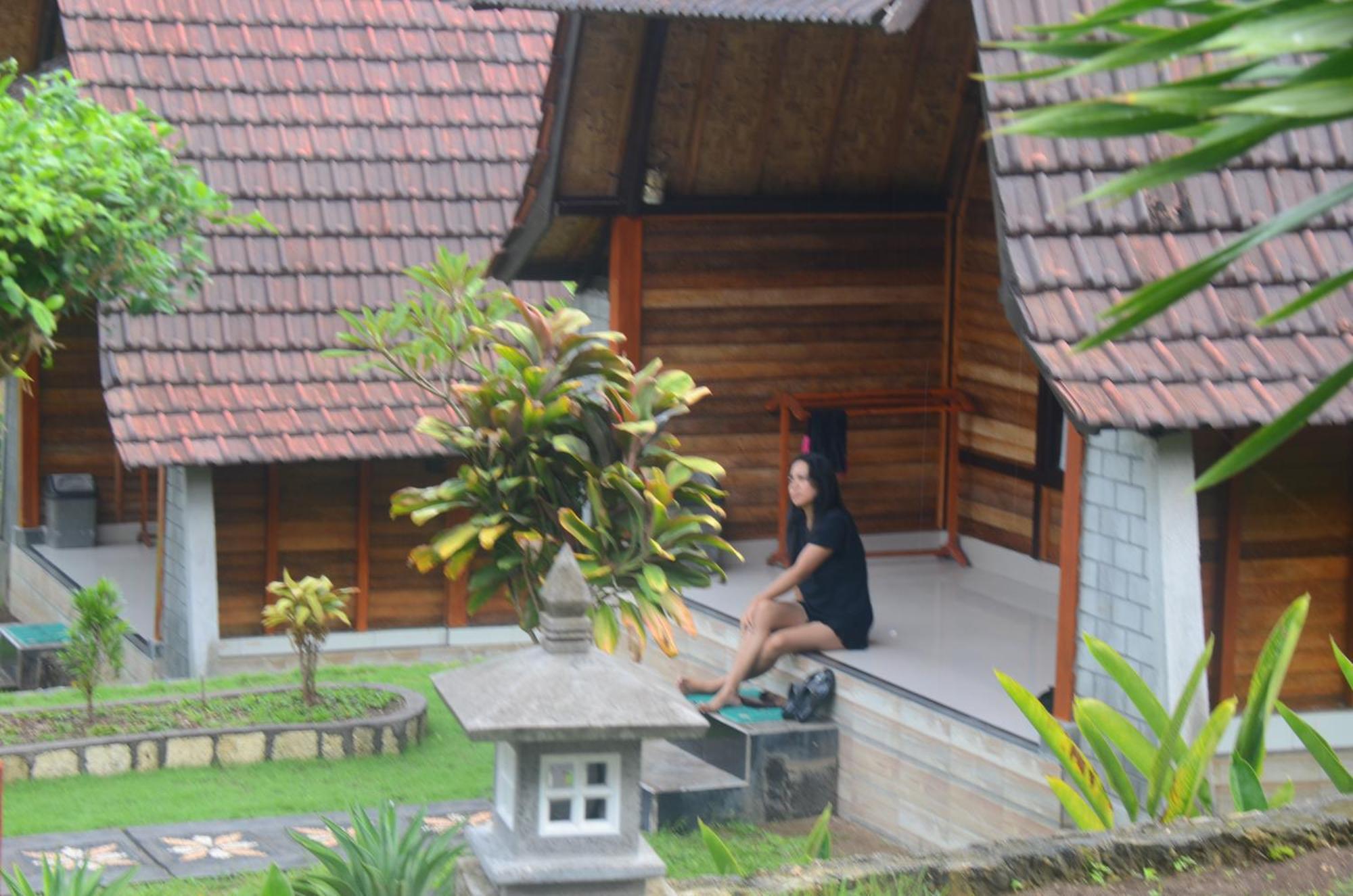 Mamaras Guest House Sakti Экстерьер фото